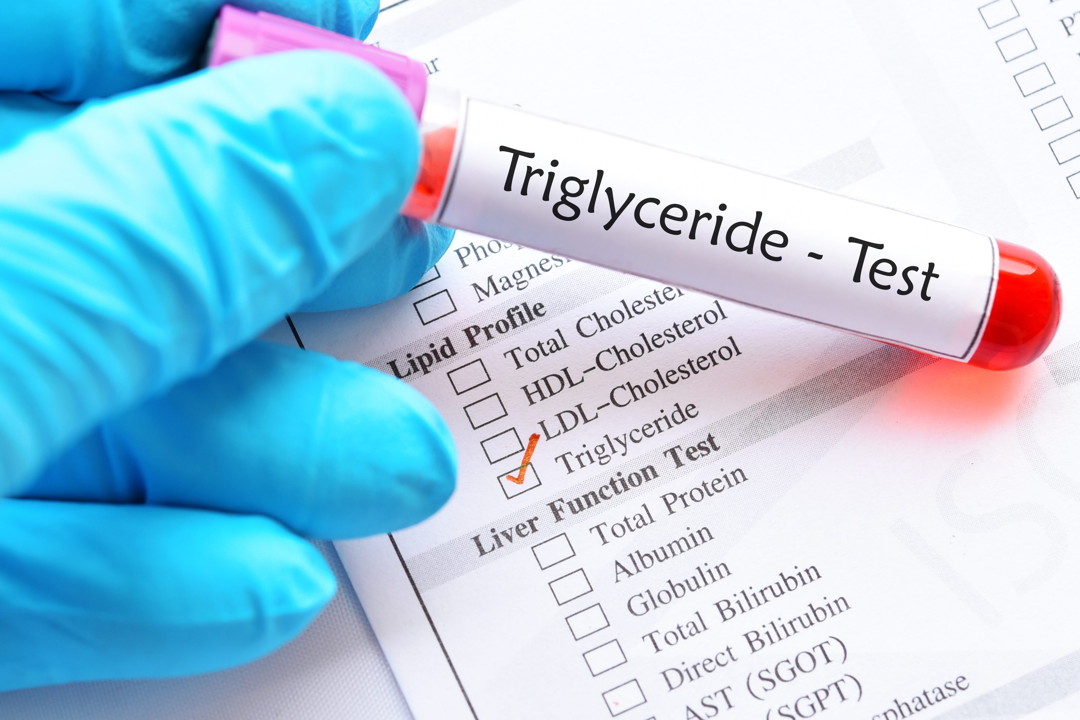 Laboratory requisition form with blood sample tube for triglyceride test