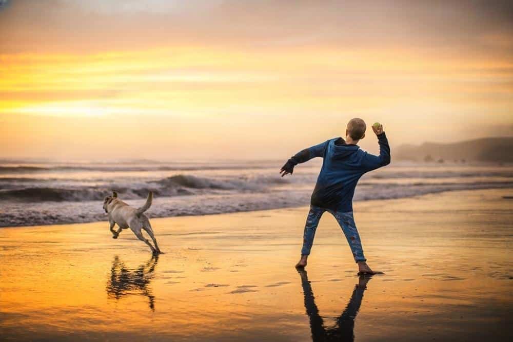 Menino e cachorro na praia