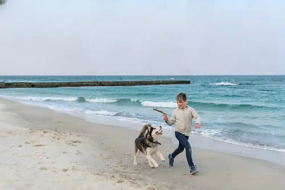 Praia B Menino brincando com cachorro