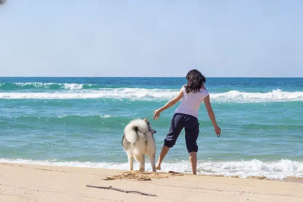 Praia Girl Moca brincando com cachorro