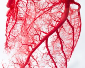 Artérias do coração que podem gerar isquemia miocárdica