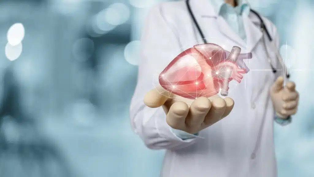 imagem ilustrativa de um cardiologista segurando um coração - Investigação e diagnóstico sopro cardíaco