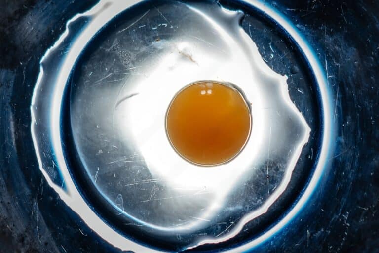 Colesterol: Tudo o que Você Precisa Saber para um Coração Saudável 2 ovo - alimento com colesterol