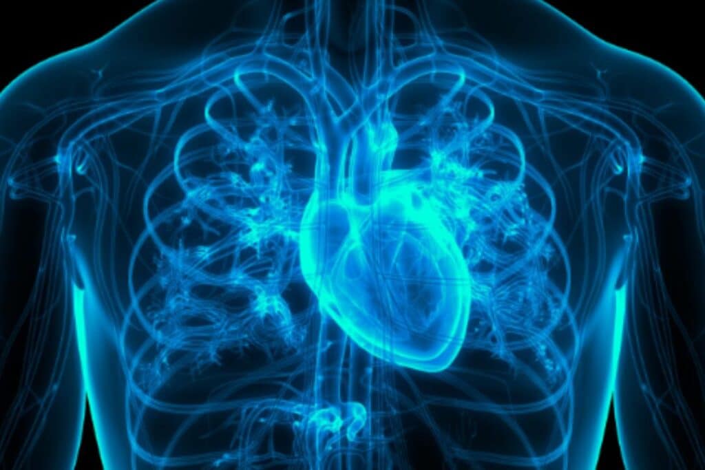 corpo humano representando um coração