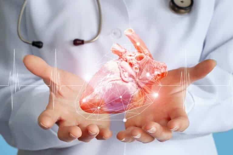 Bradicardia: Diagnóstico e Tratamento 5 Médico cardiologista mostra um coração nas mãos.