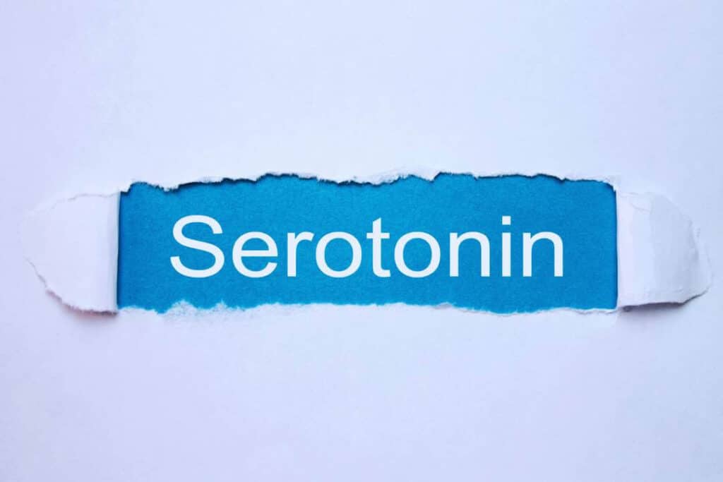 serotonina escrita em um papel