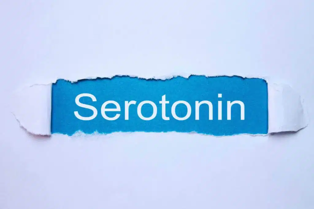 serotonina escrita em um papel