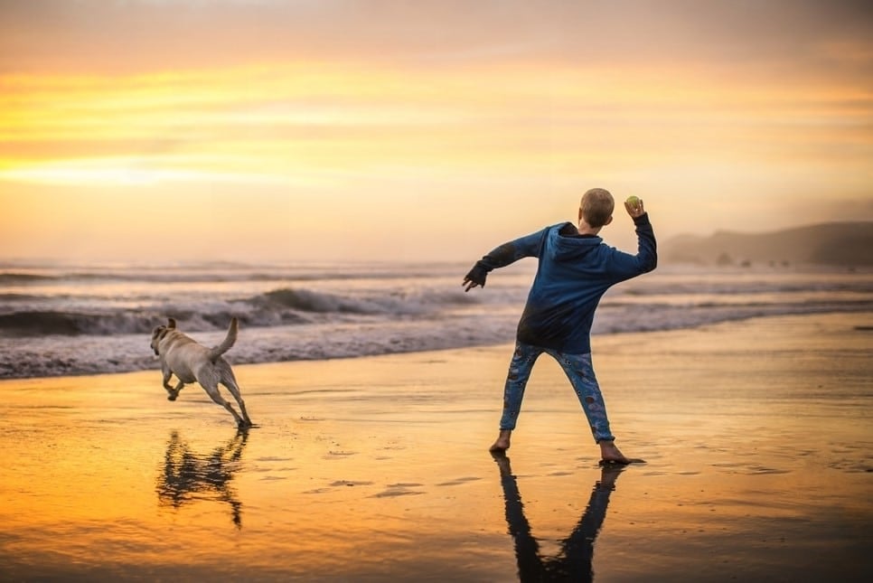 menino e cachorro na praia