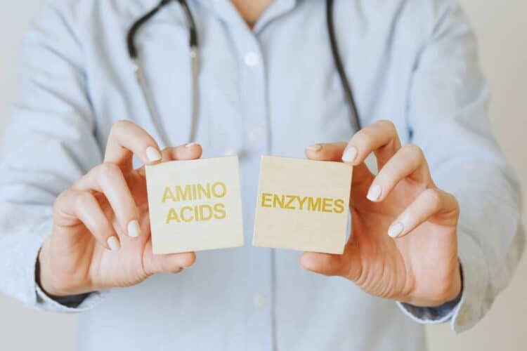 médica segurando dois blocos com as palavras aminoácidos e enzimas