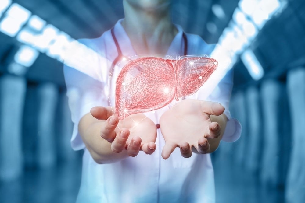 médica está representando segurar um fígado humano