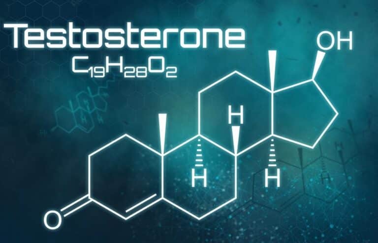 Testosterona - O Hormônio Anabolizante, Funções e Riscos de Uso 8 Testosterona – O Hormônio Anabolizante, Funções e Riscos de Uso