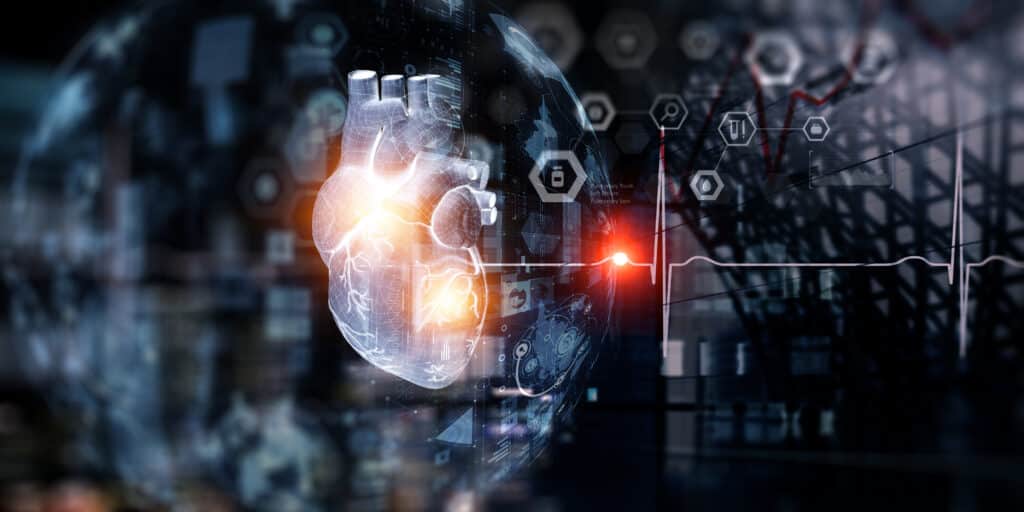 Anatomic heart model and digital technologies background