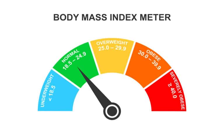 IMC: Entenda Seu Resultado e Saiba o Que Fazer Agora 3 Imagem de um velocímetro estilizado mostrando diferentes faixas de Índice de Massa Corporal (IMC), desde 'Abaixo do peso' até 'Obesidade', para ilustrar visualmente os níveis de saúde associados a cada faixa de IMC
