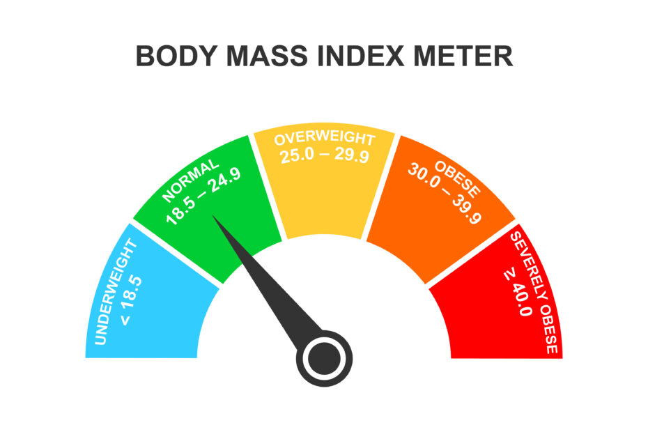 Imagem de um velocímetro estilizado mostrando diferentes faixas de Índice de Massa Corporal (IMC), desde 'Abaixo do peso' até 'Obesidade', para ilustrar visualmente os níveis de saúde associados a cada faixa de IMC