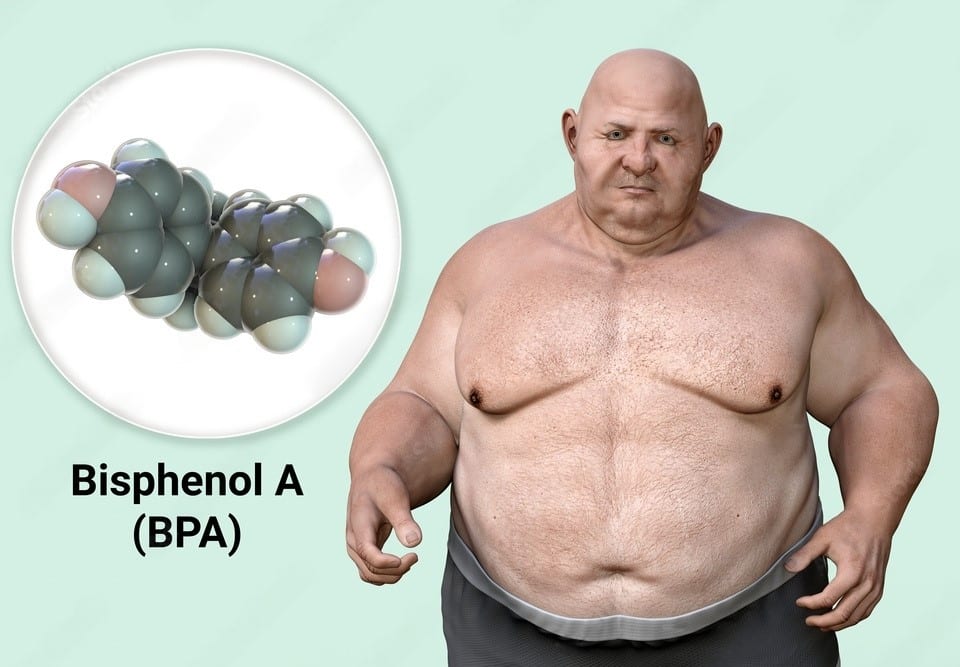 Mólecula de Bisphenol A (BPA) e homem obeso, mostrando maleficio do BPA