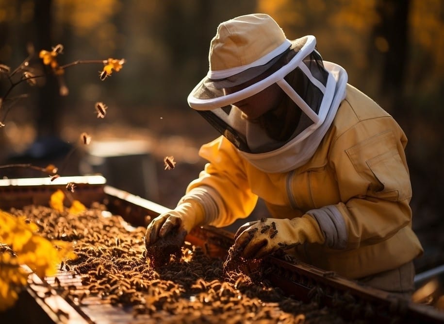 apicultora em uma fazenda