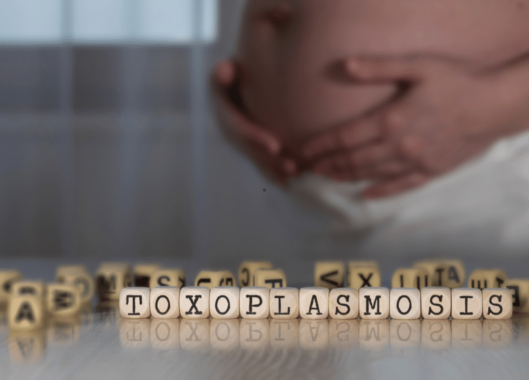 Toxoplasmose na Gestação: Cuidados e Informações Essenciais 1 toxoplasmose na gestação